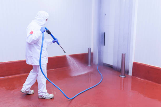 Professional  Pressure Washing Services in Mount Dora, FL